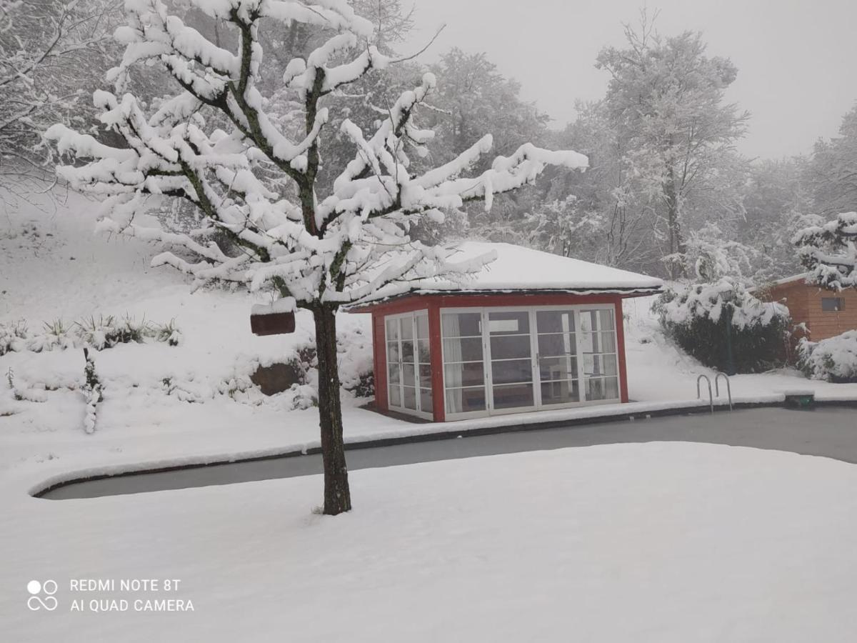 Paradies 1 Döttingen Exteriör bild